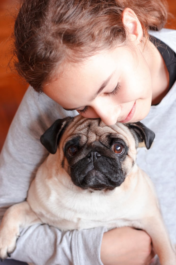 Happy Teenage Girl Hugging Her Pet Pug